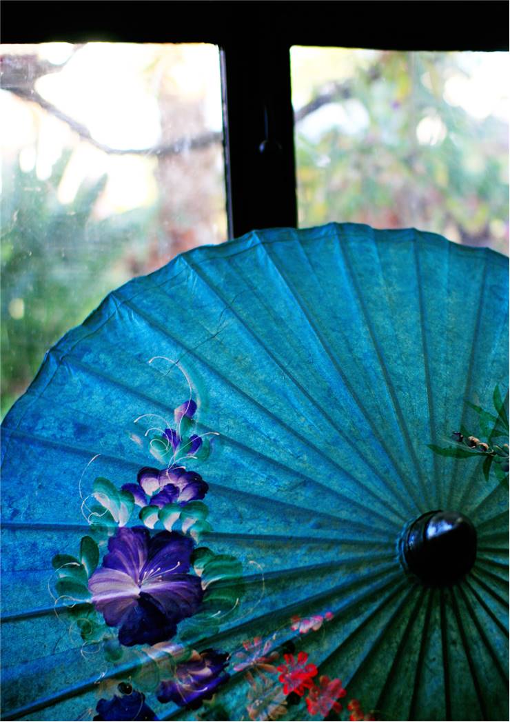 Old Blue Umbrella/Parasol