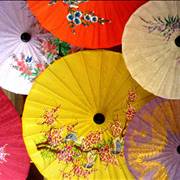 Oil Paper Parasols