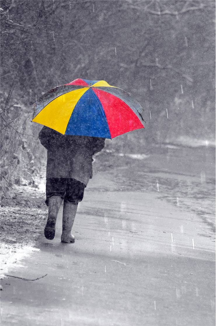 Winter Umbrella